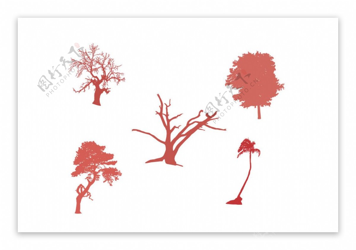 各种树木的矢量图图片