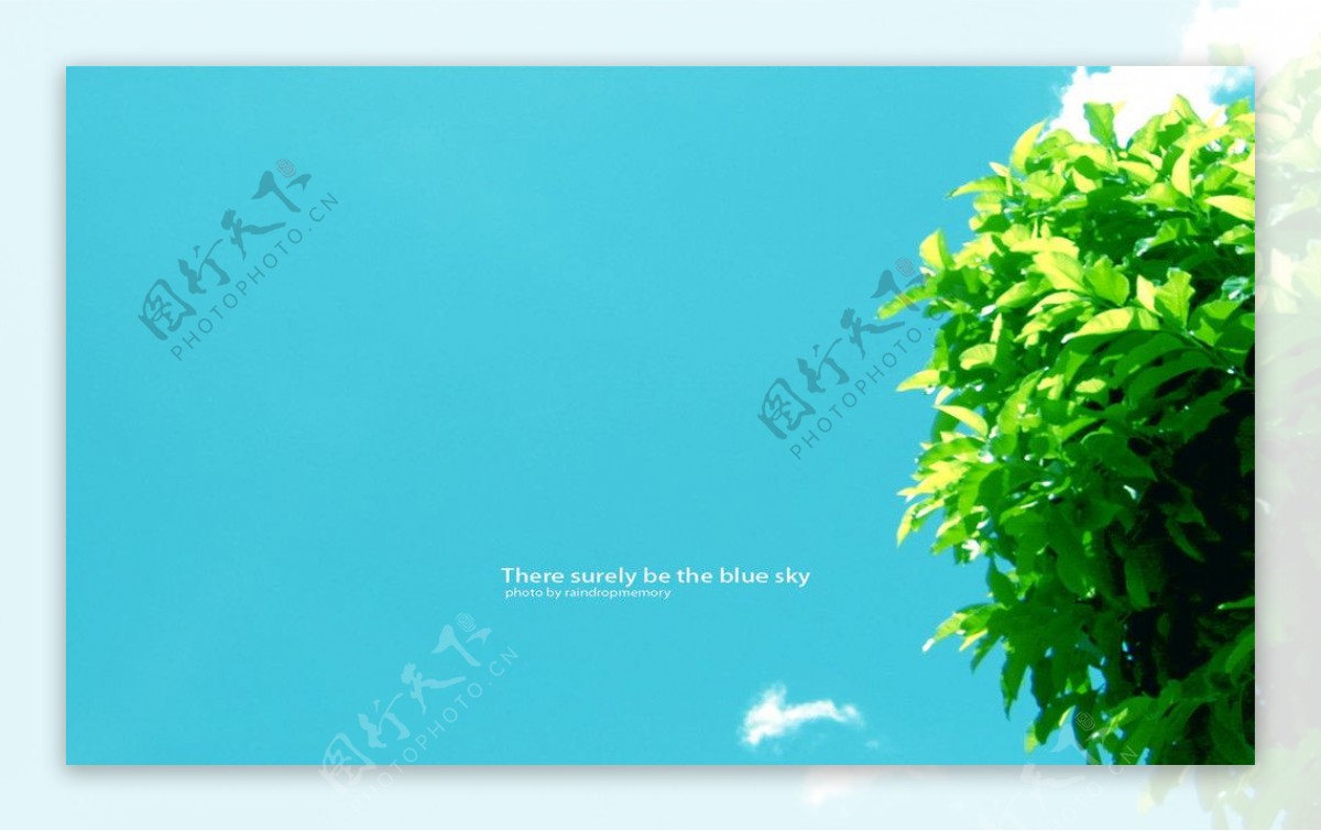 蓝天与树图片