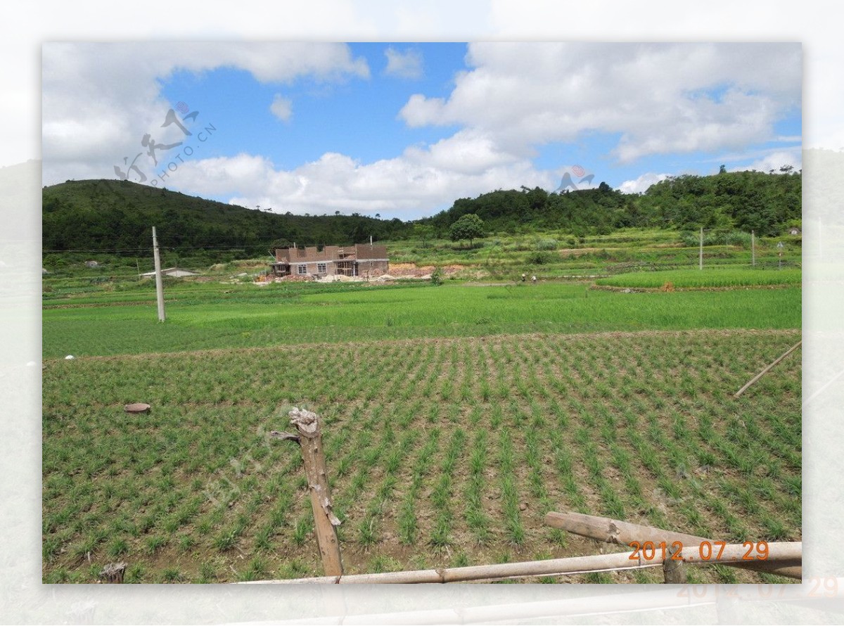 田园风光图片