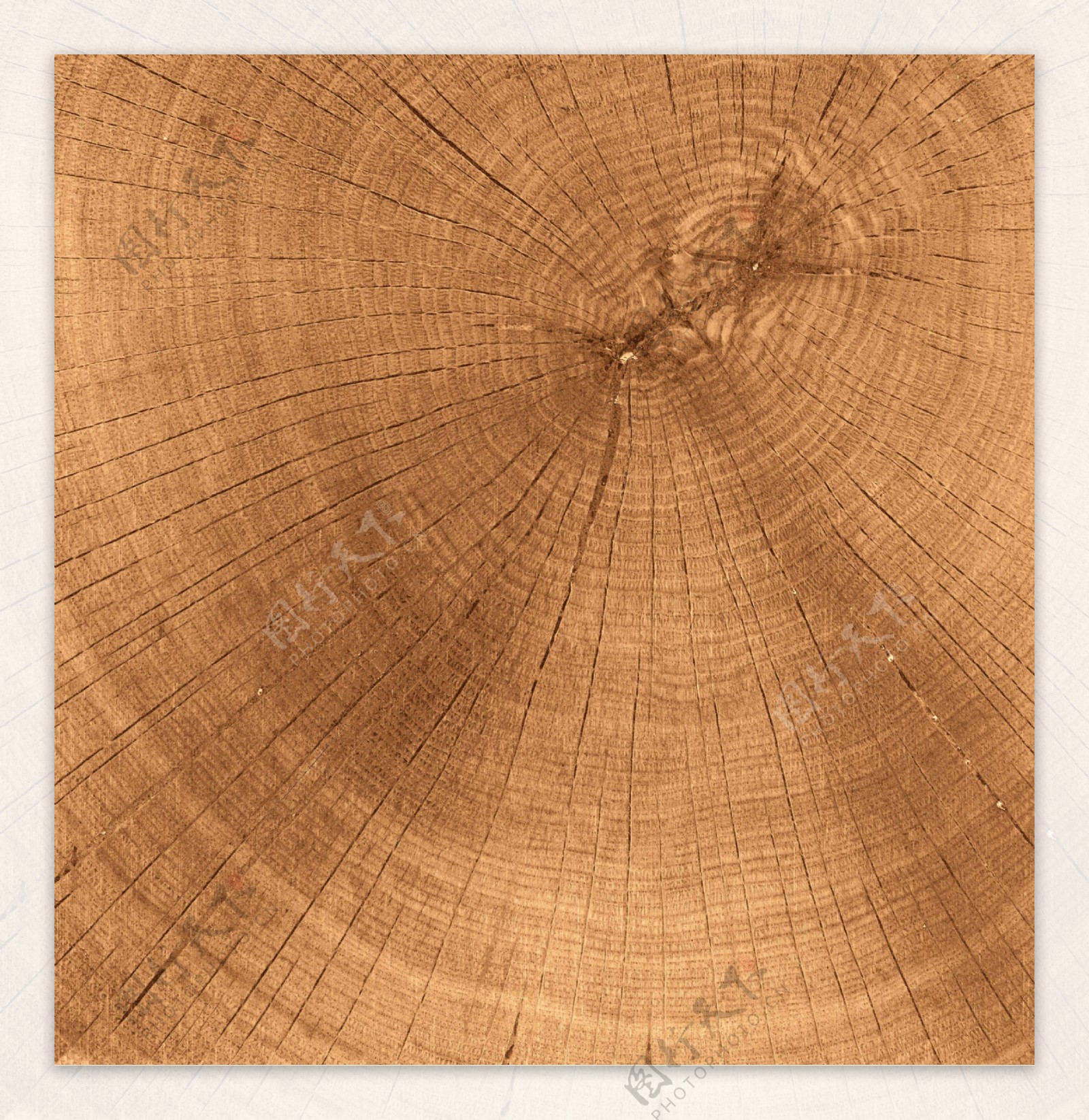 木头年轮纹理图片