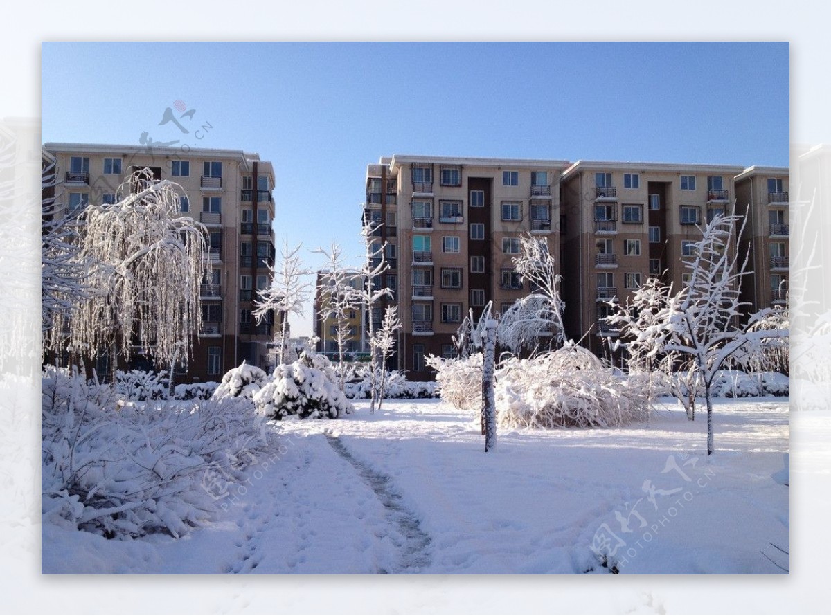 北京冬天美景图片