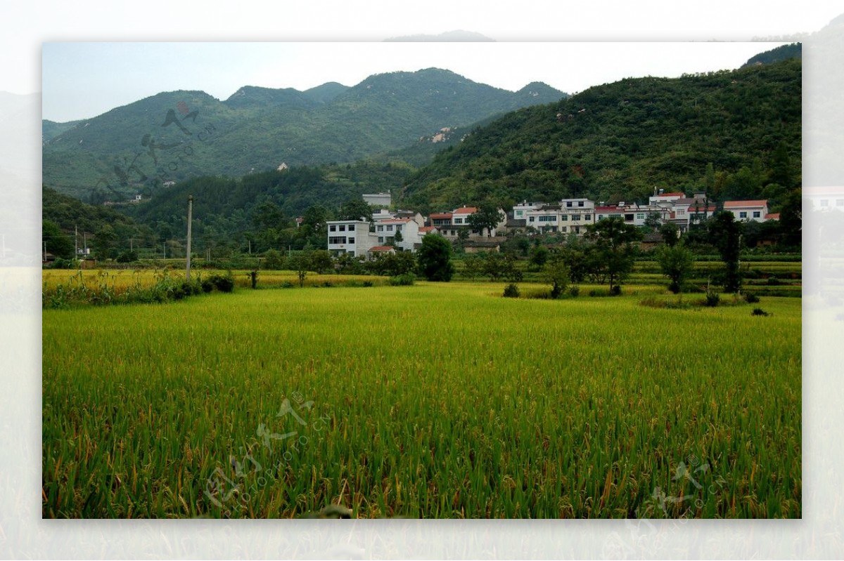 田园风光图片