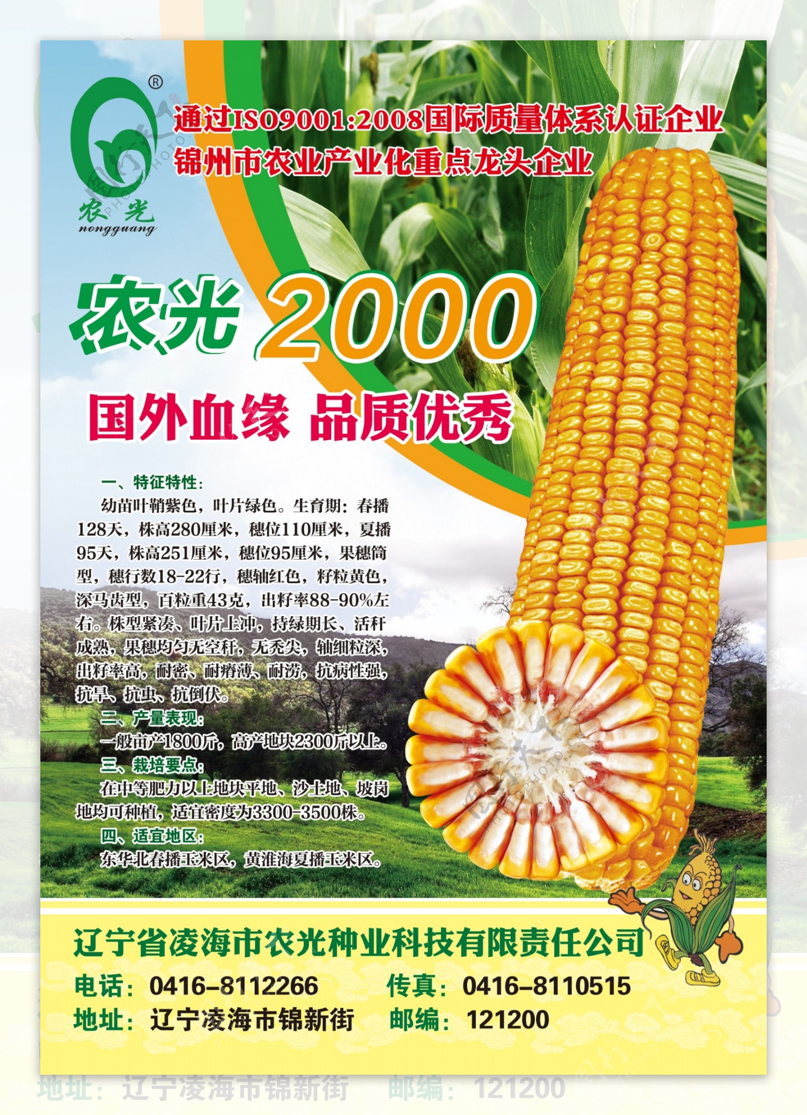 玉米宣传海报图片