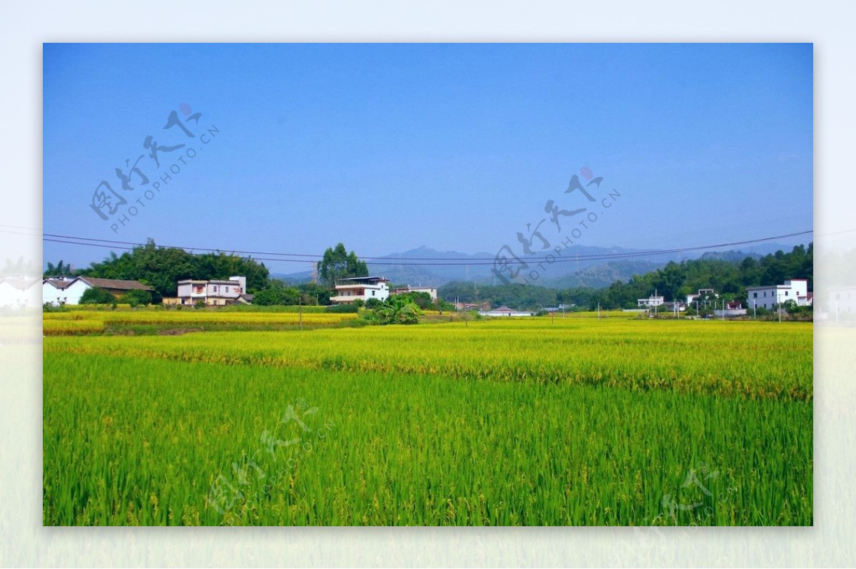 乡村田园风光图片