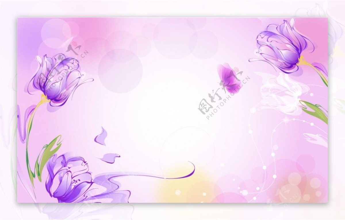 紫色矢量郁金香图片