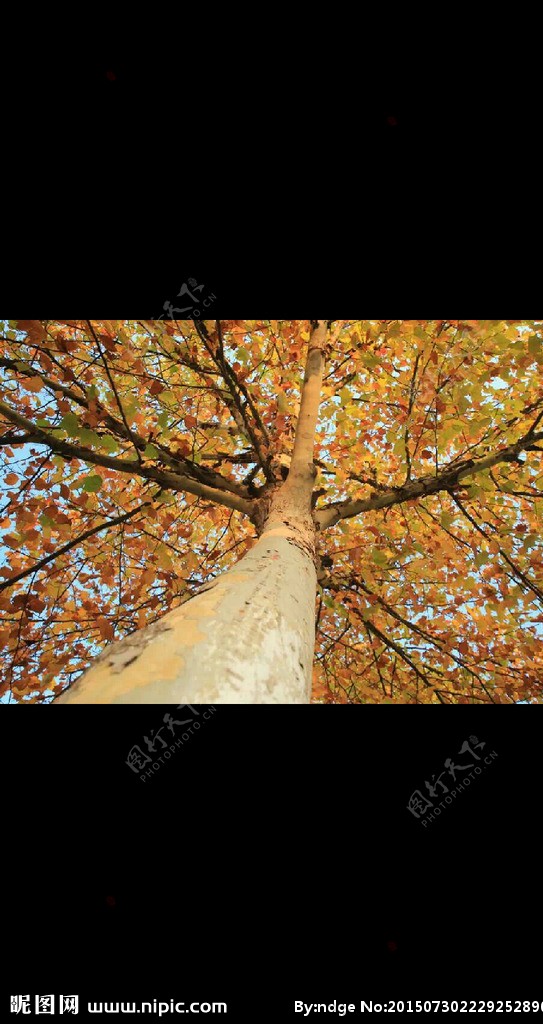 秋天的颜色图片