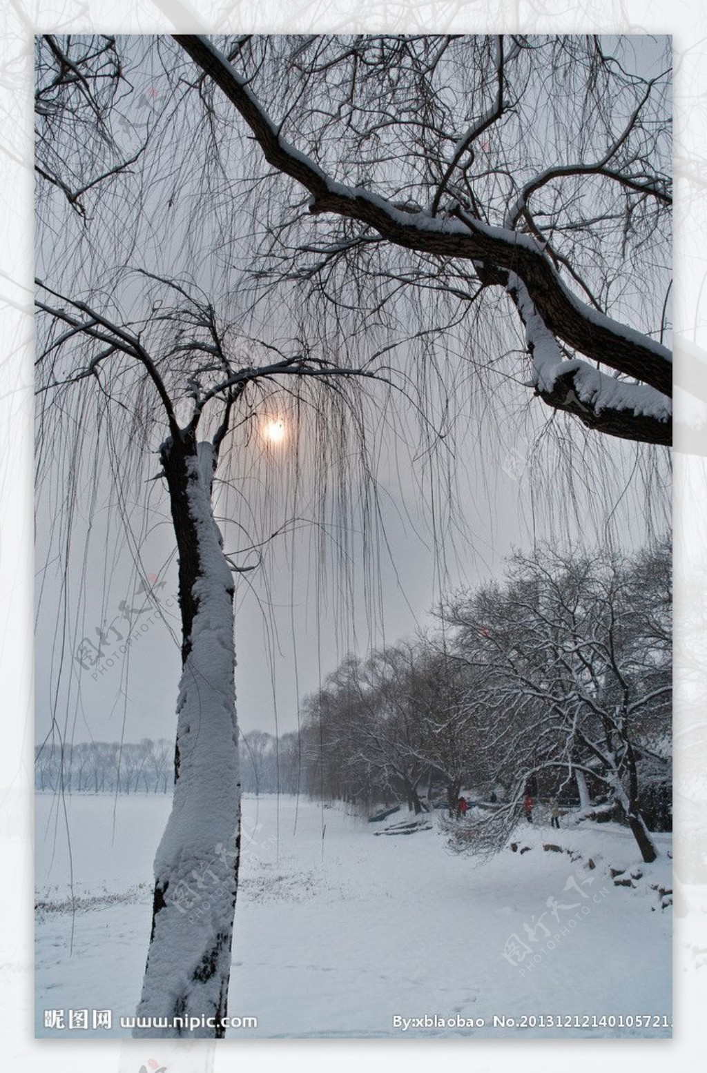 昆明湖的晴雪图片