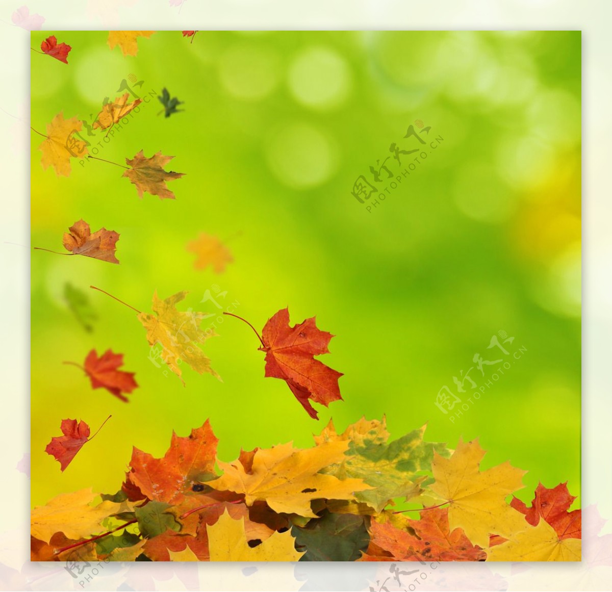 秋季风景高清图片