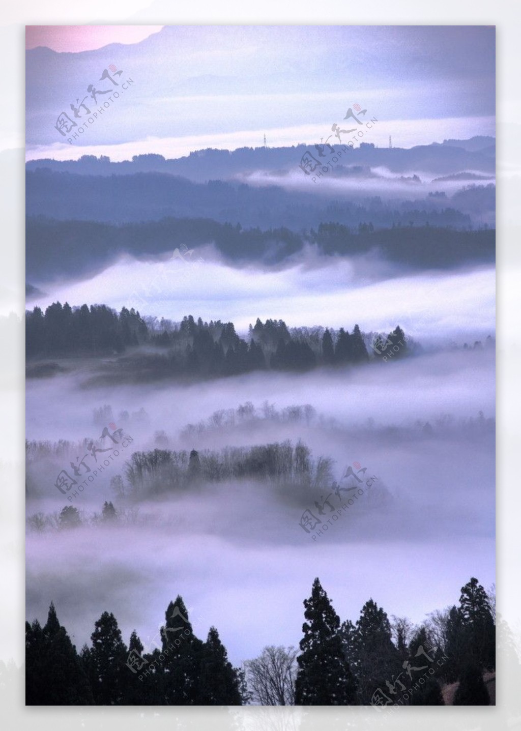云雾满山图片
