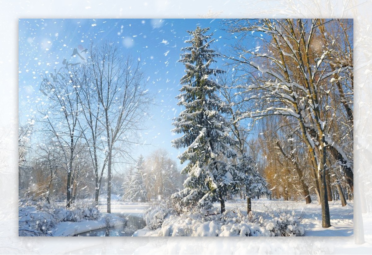 雪景图片