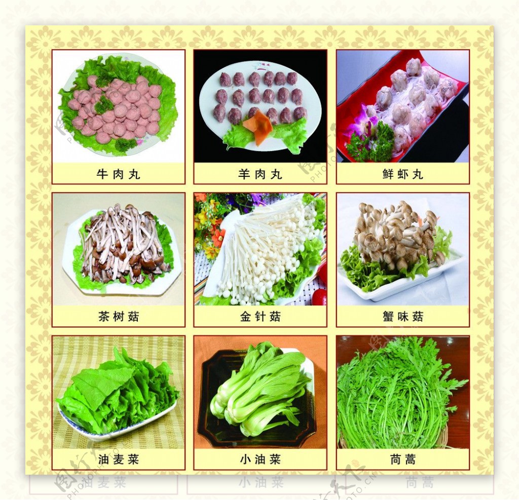 火锅菜品刊板图片