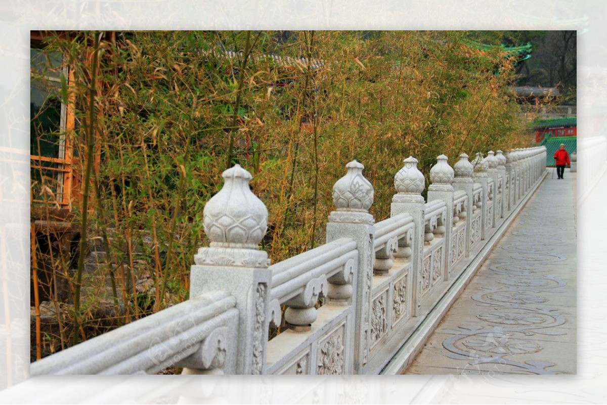 石桥竹林图片