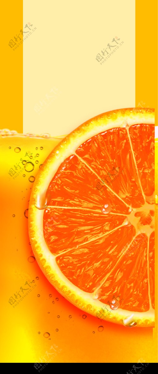 清新的橙子图片