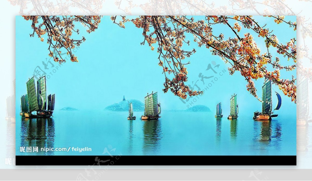 太湖樱花帆船图片
