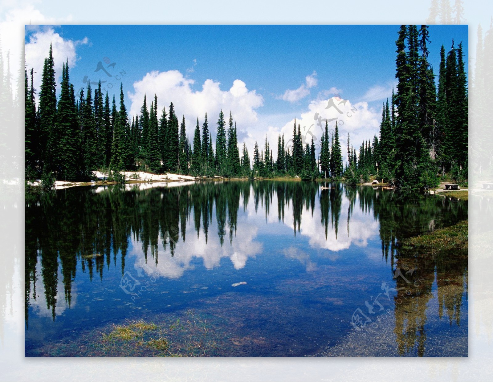 山水图风景画森林湖泊图片