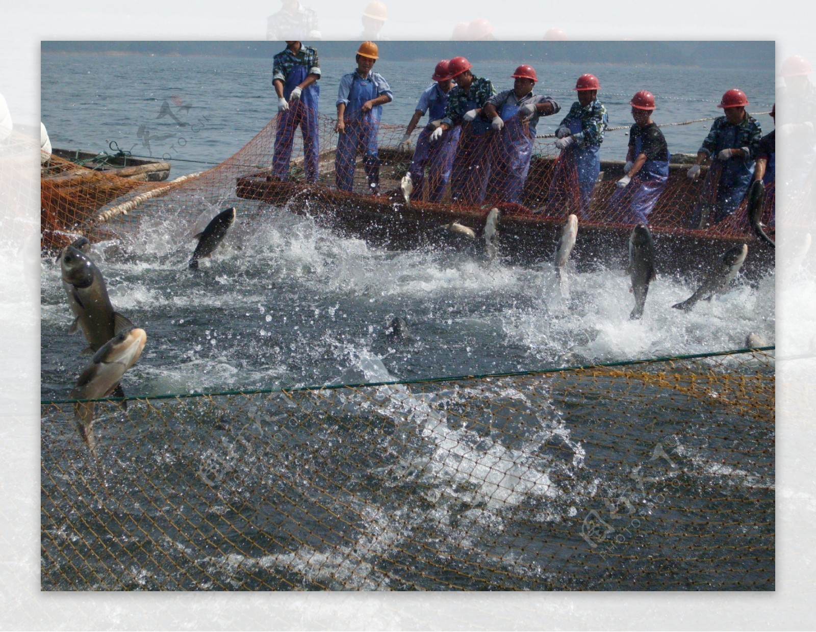 千岛湖巨网捕鱼图片