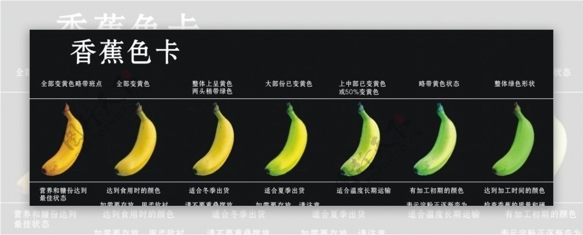 香蕉色卡图片