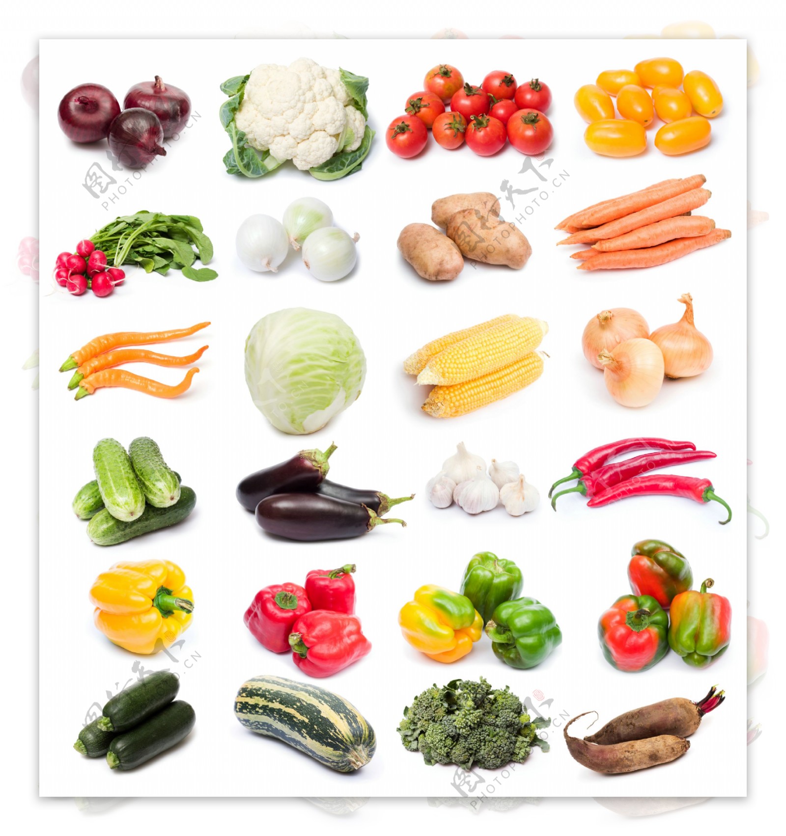 蔬菜大集合图片