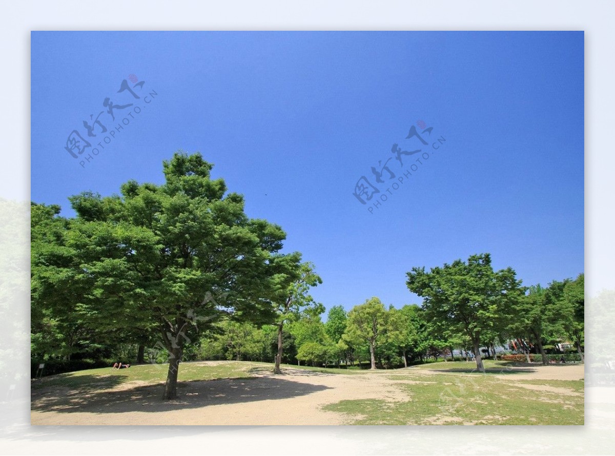 园林艺术日本公园风景图片