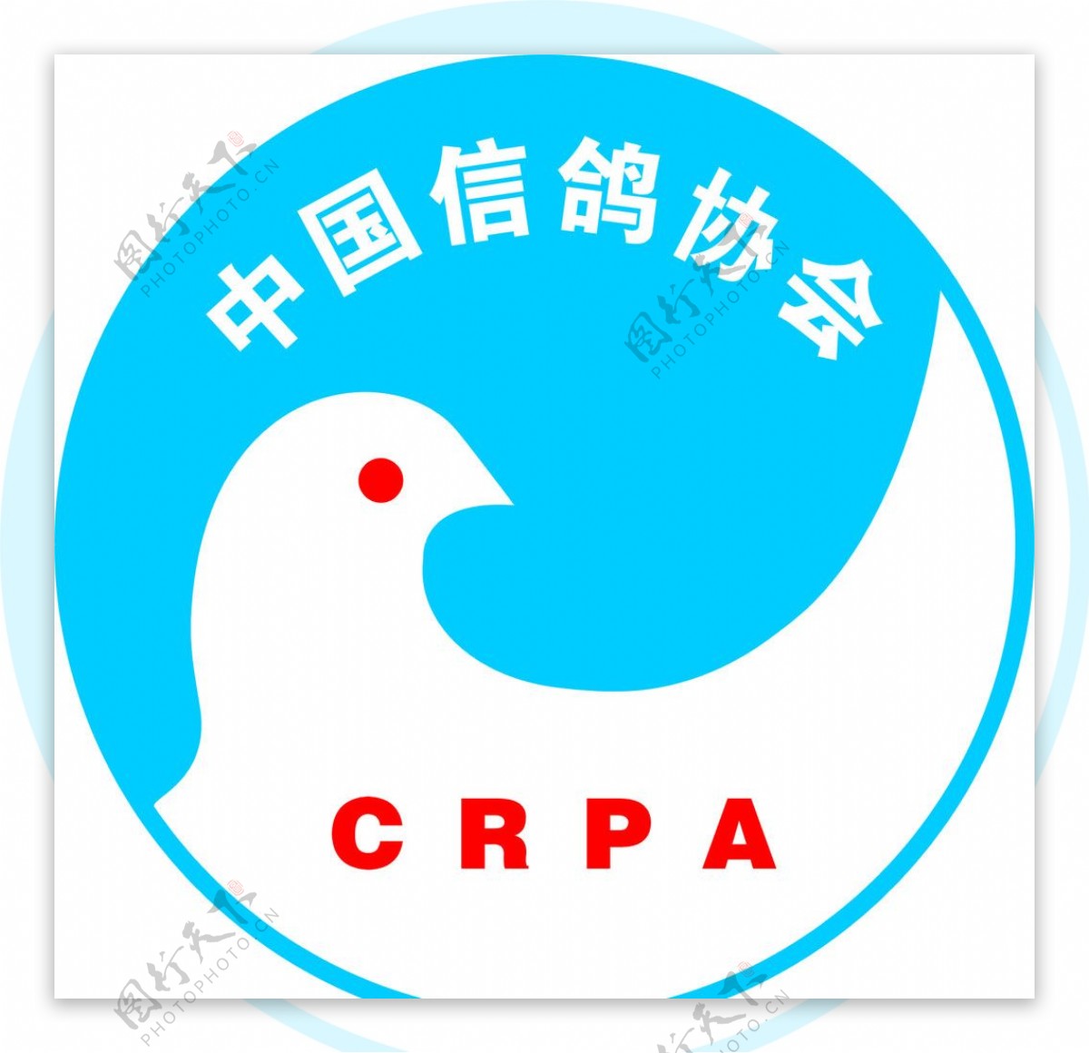 中国信鸽协会标志图片
