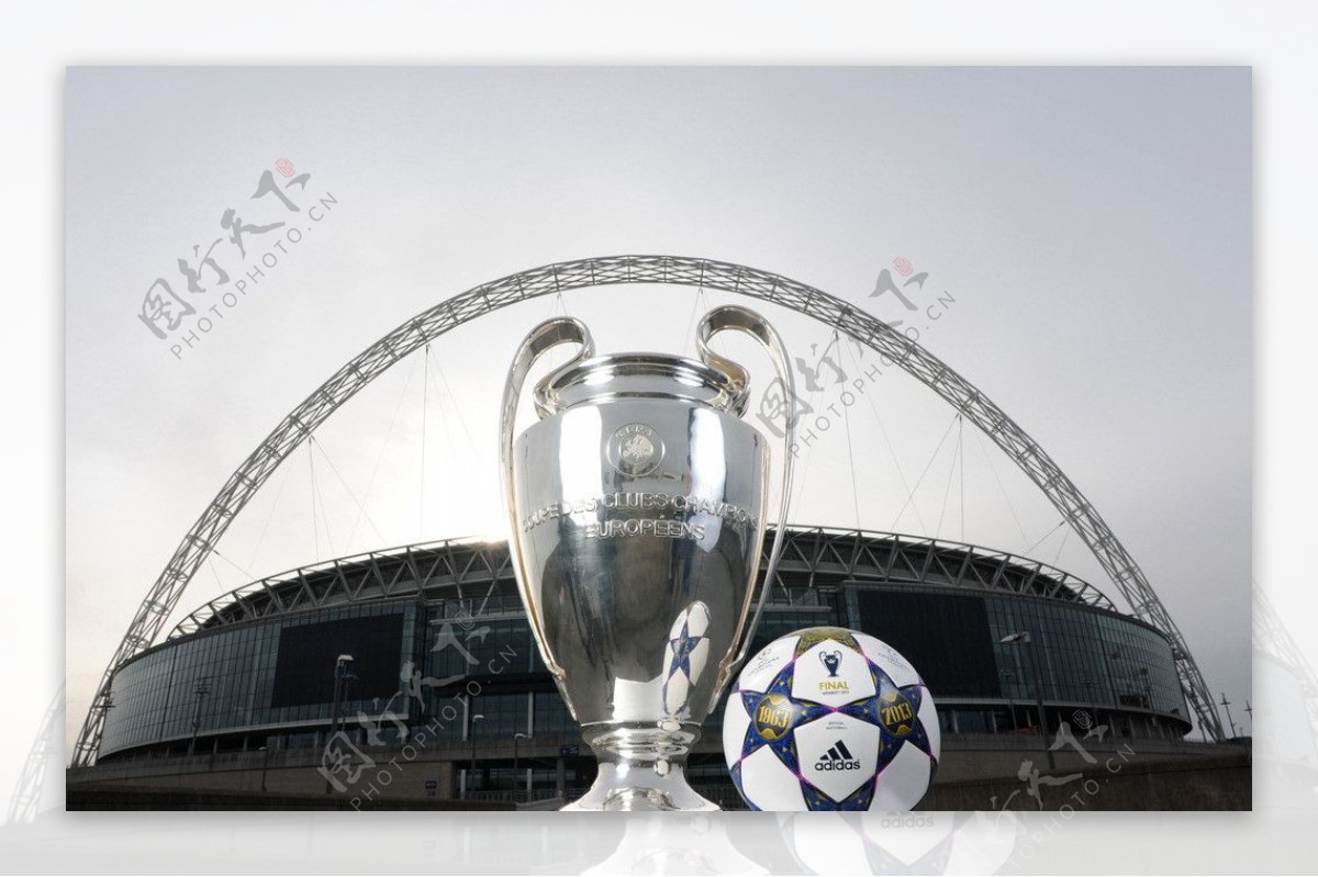 ADIDAS欧冠联赛比赛用球图片
