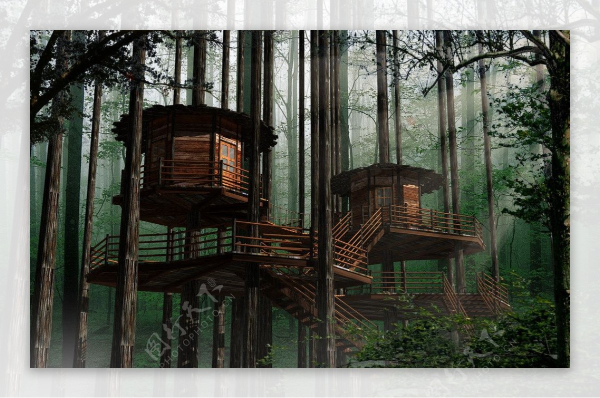 森林树屋图片