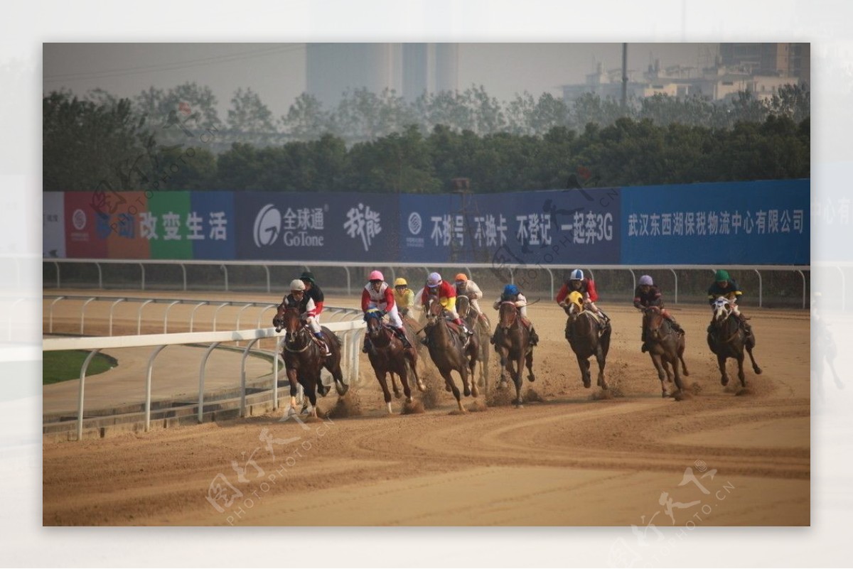 武汉赛马节赛马比赛图片