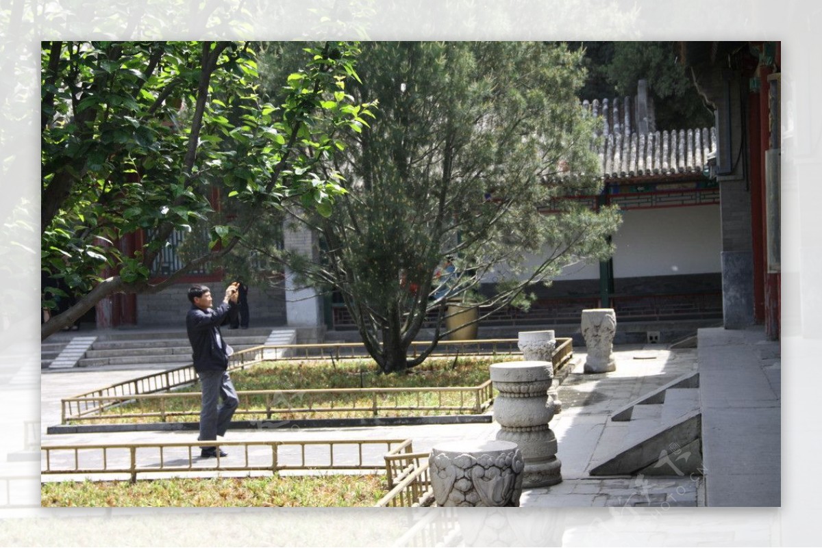 颐和园风景图图片