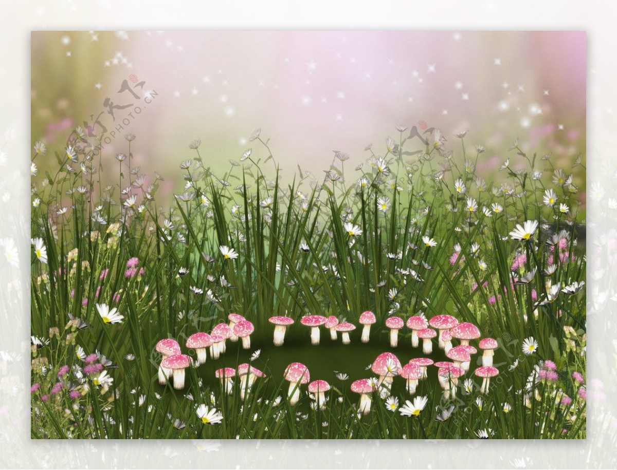 浪漫背景蘑菇花朵湖水图片