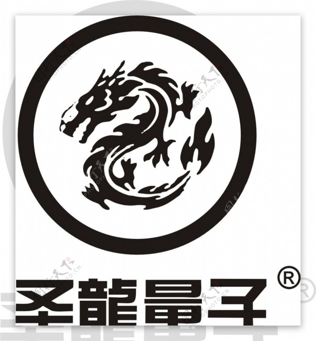 圣龙量子logo图片