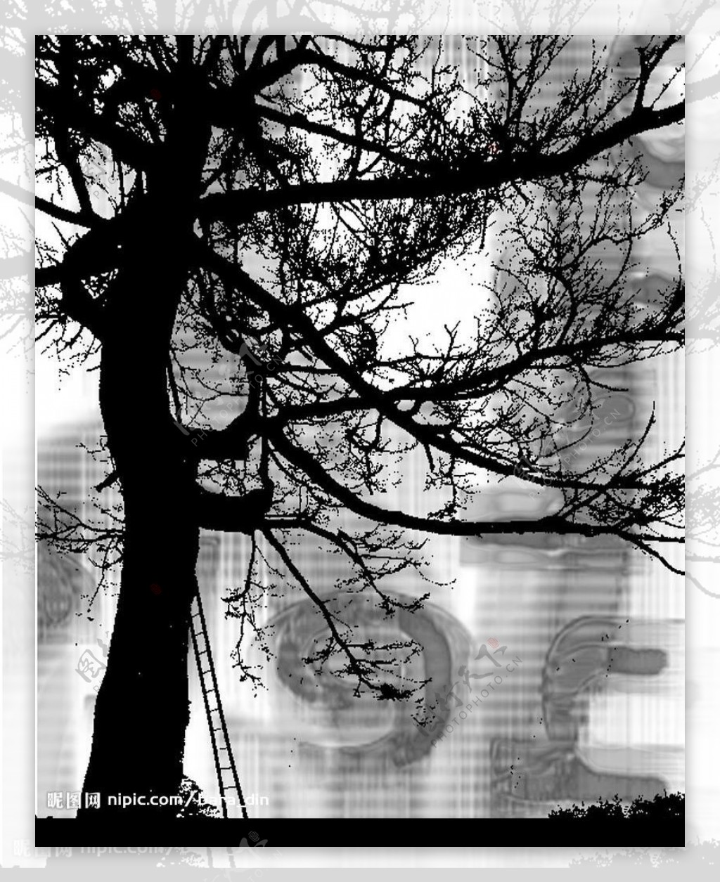 黑白树木插图图片