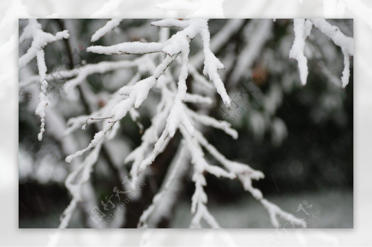 杭州西湖雪景图片