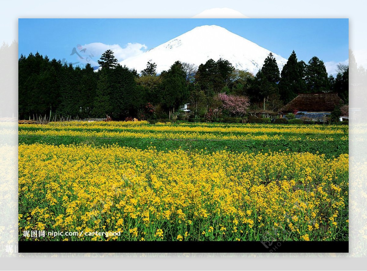 日本富士山图片