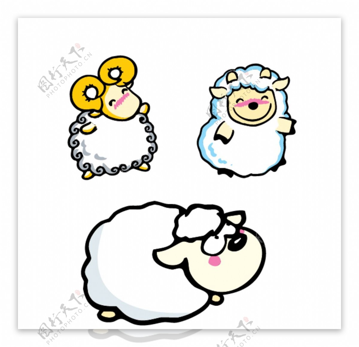 可爱的绵羊图片