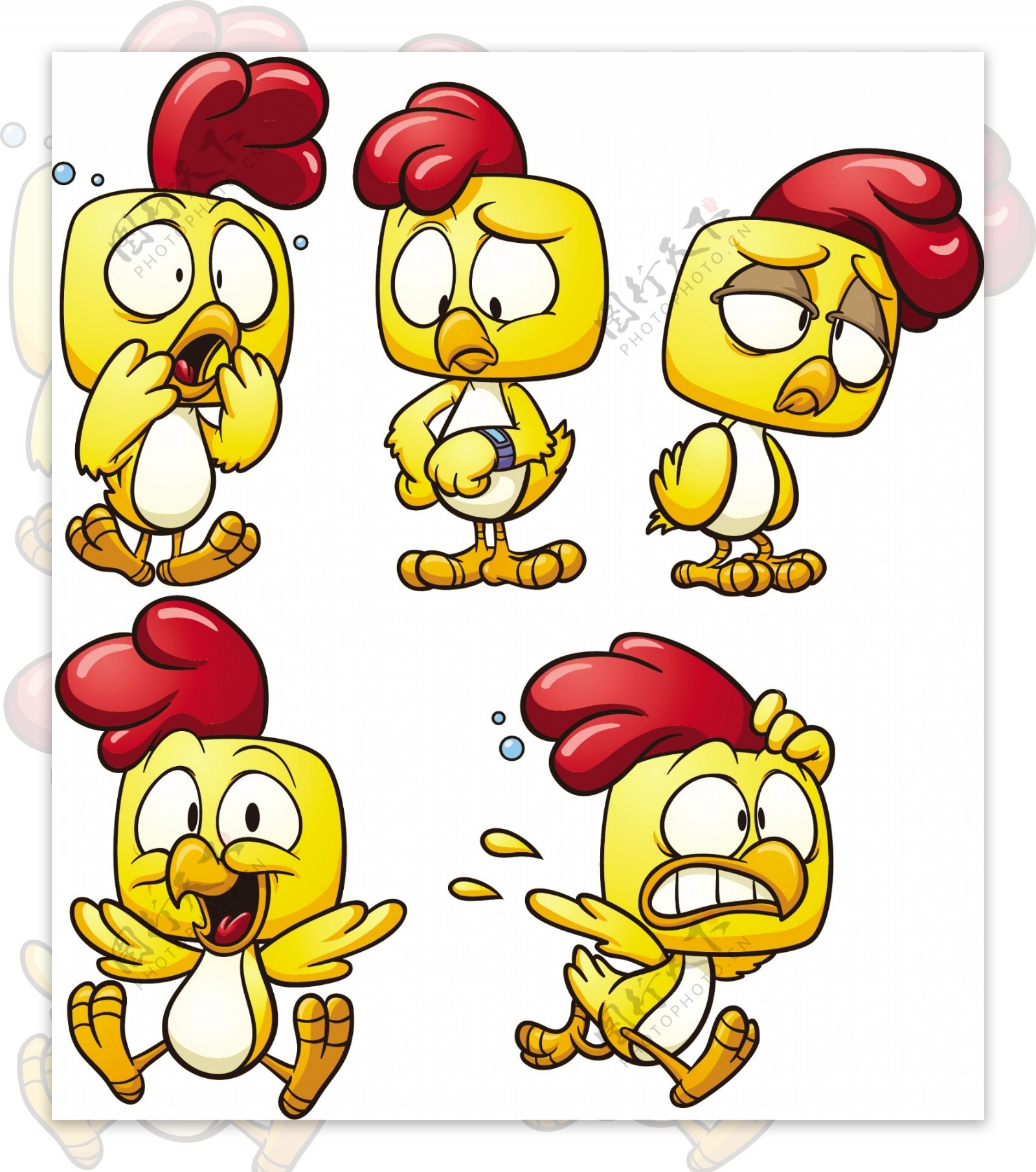 卡通小鸡表情图片