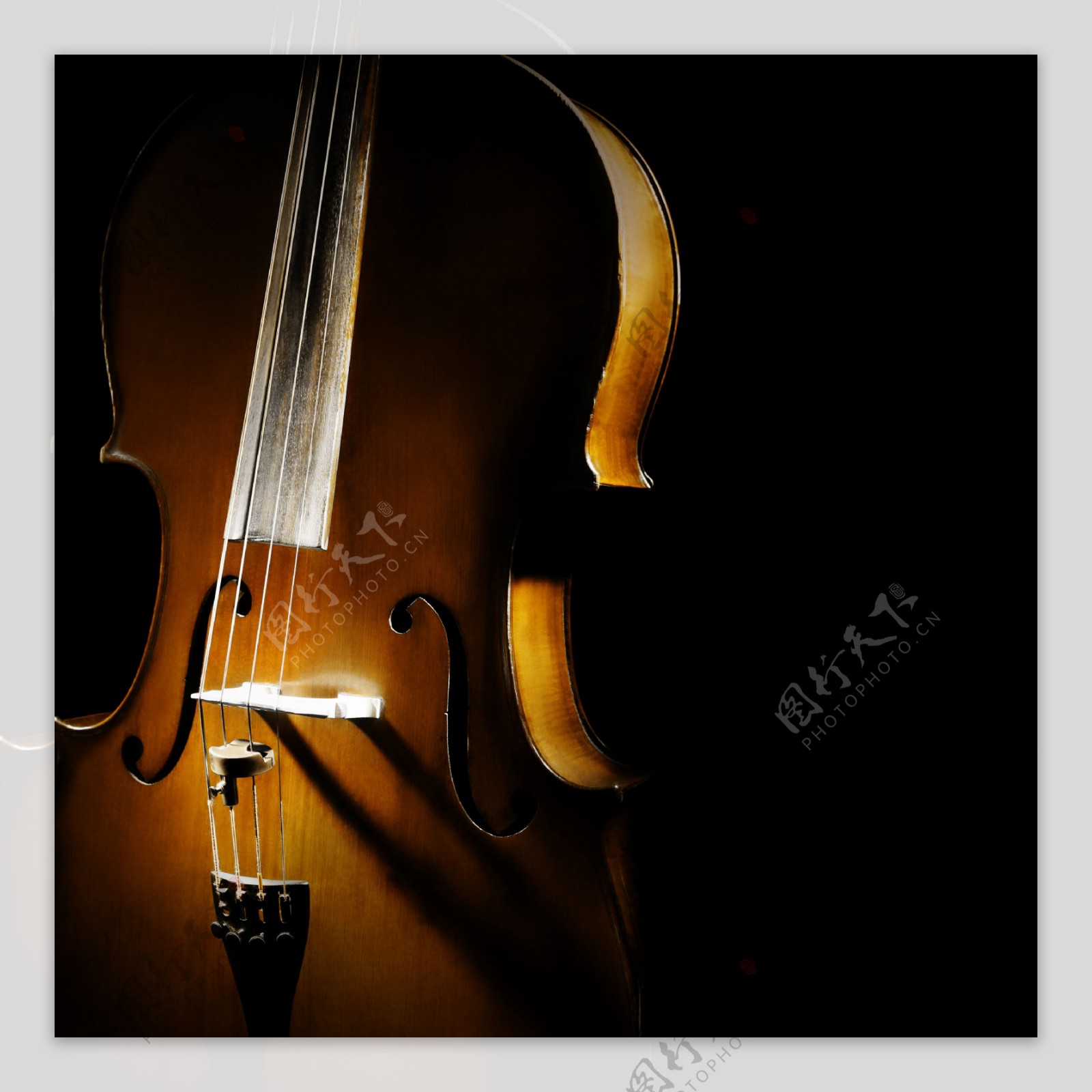 唯美提琴图片
