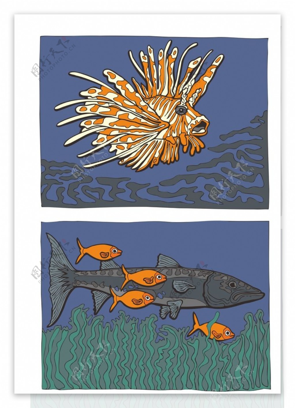 鱼类插画图片