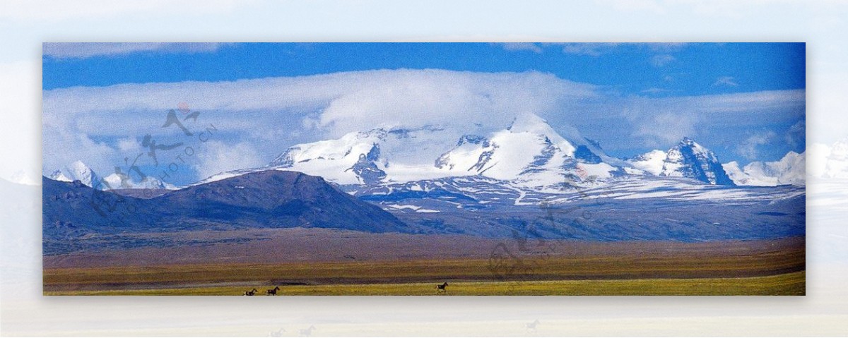 珠峰珠穆朗玛峰西藏珠峰西藏风景大草地大草园草蓝天白云高原雪山高原图片