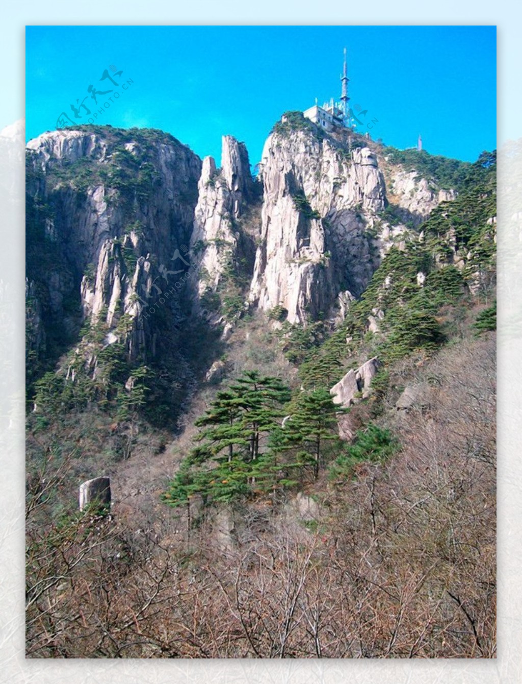 黄山怪石青松图片