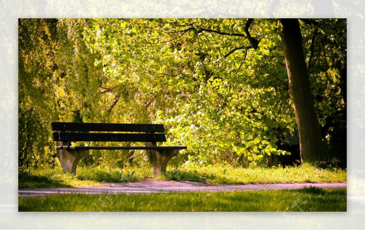 公园长椅夏天阳光图片