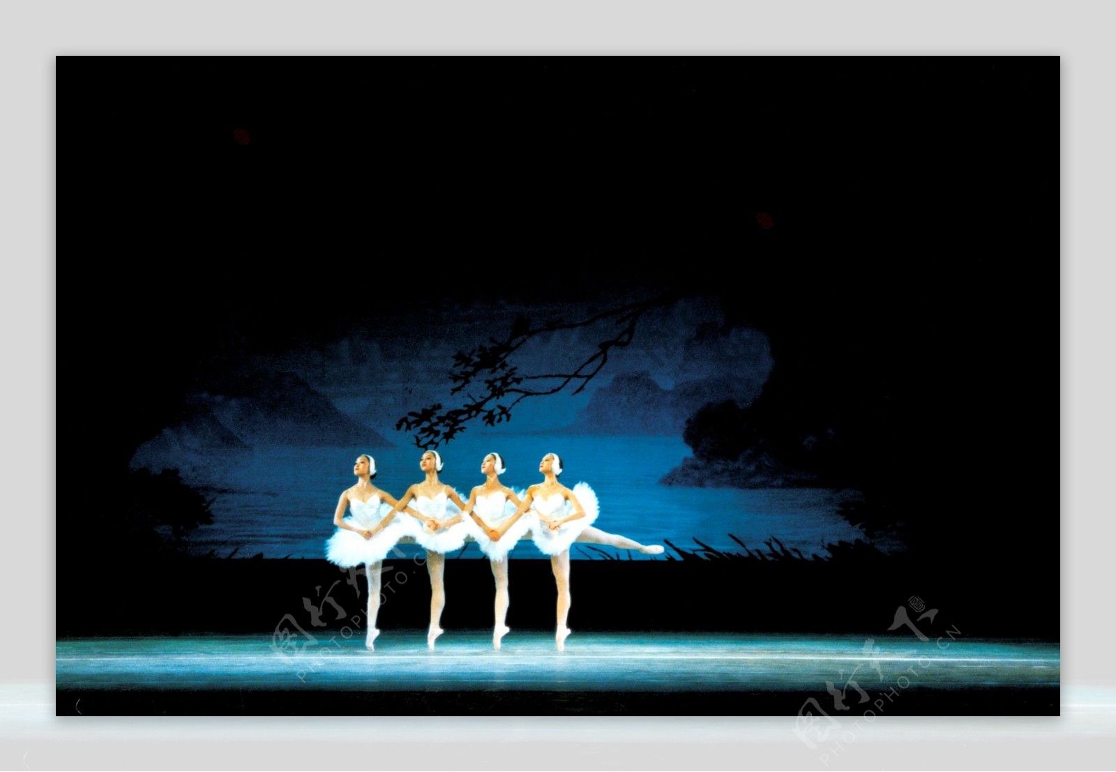 芭蕾舞天鹅湖4图片