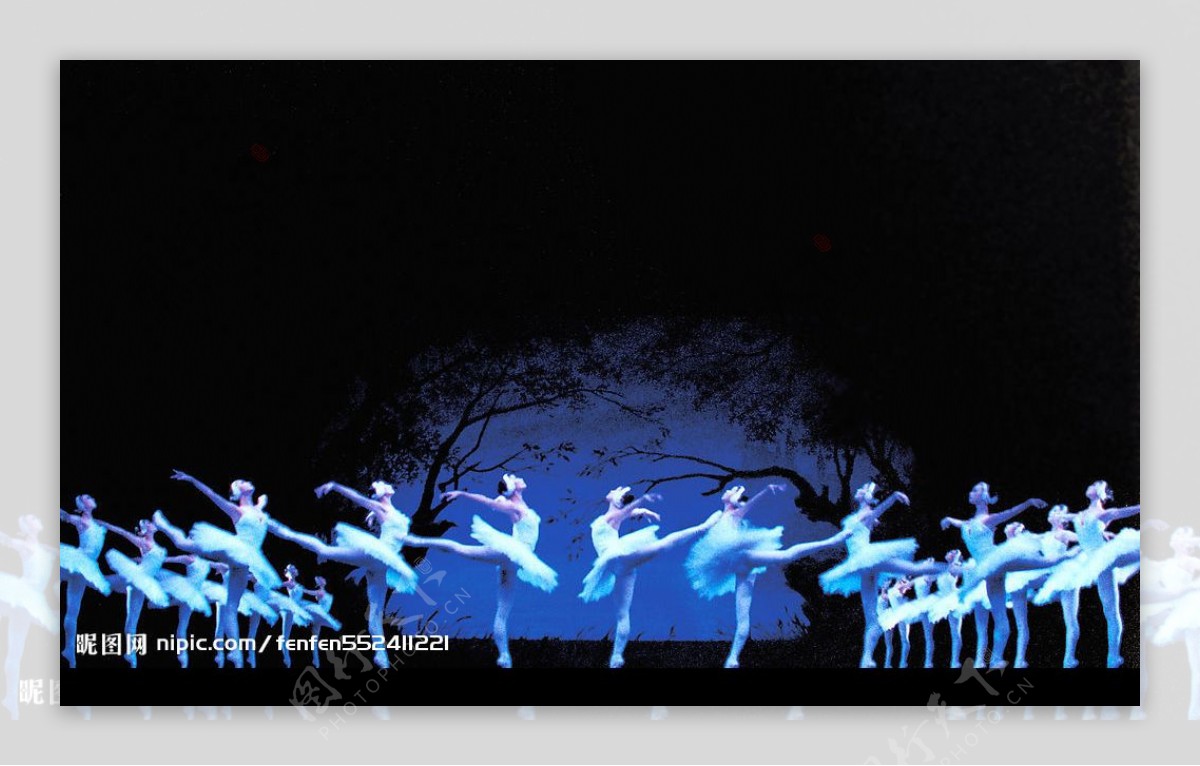 芭蕾舞天鹅湖5图片