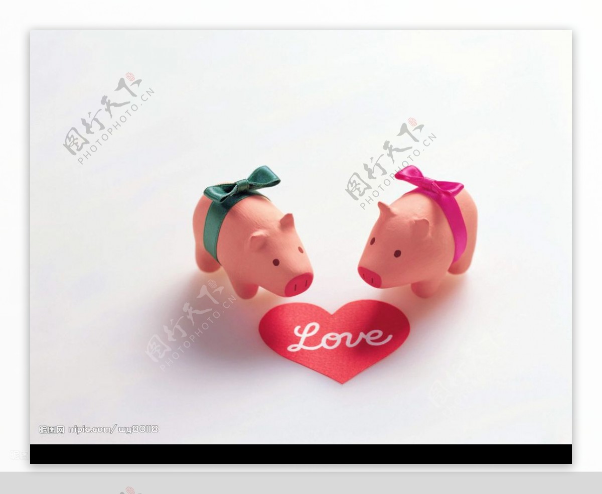 Cute Mini Pigs Play Dress-Up Photos | Image #71 - ABC News