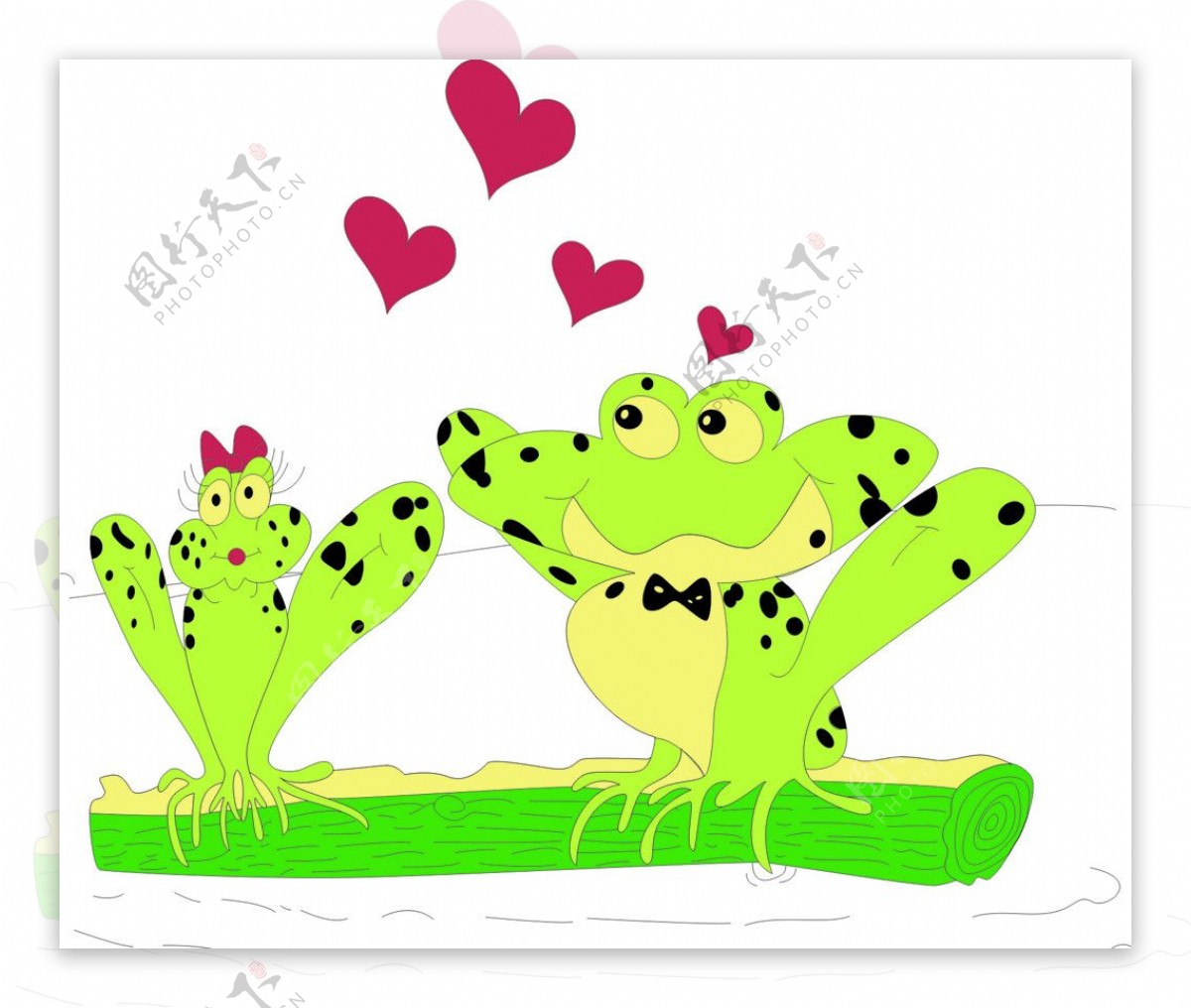 相爱的青蛙图片