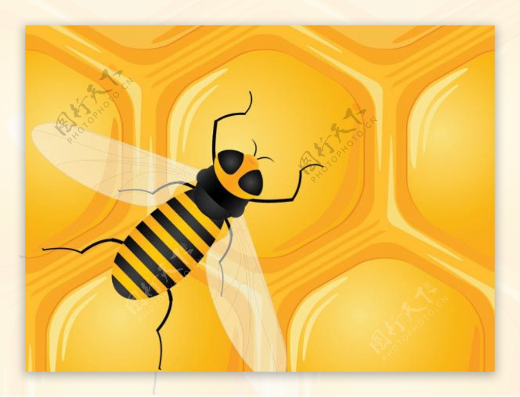 采蜂蜜的蜜蜂矢量素材图片