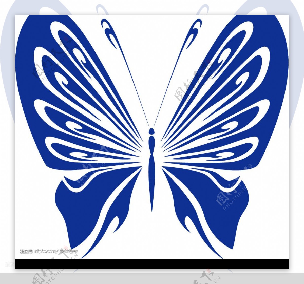 现代蝴蝶装饰矢量图片
