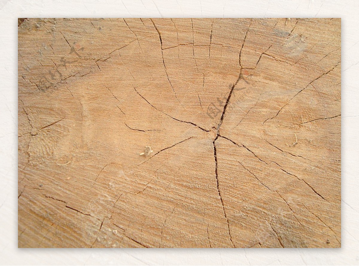 木材质木纹理图片