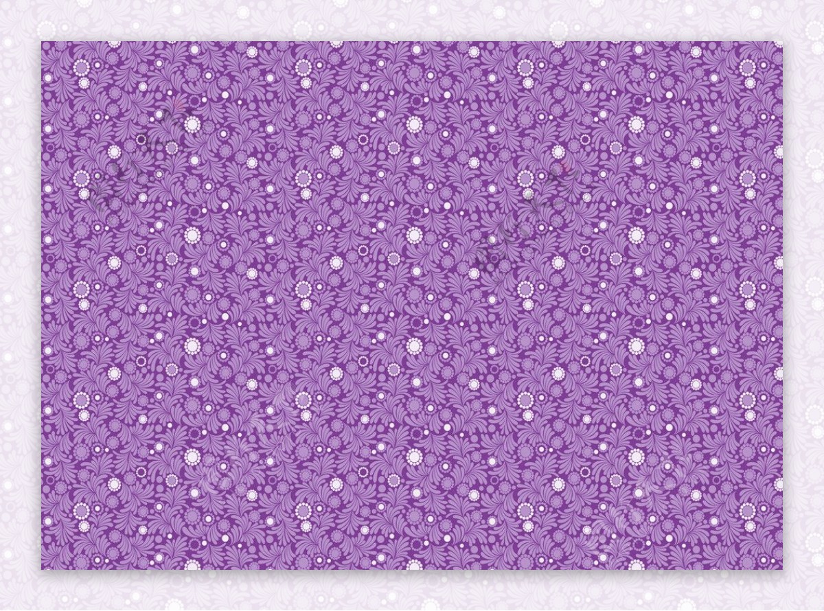 紫色系列多叶白葵花图图片