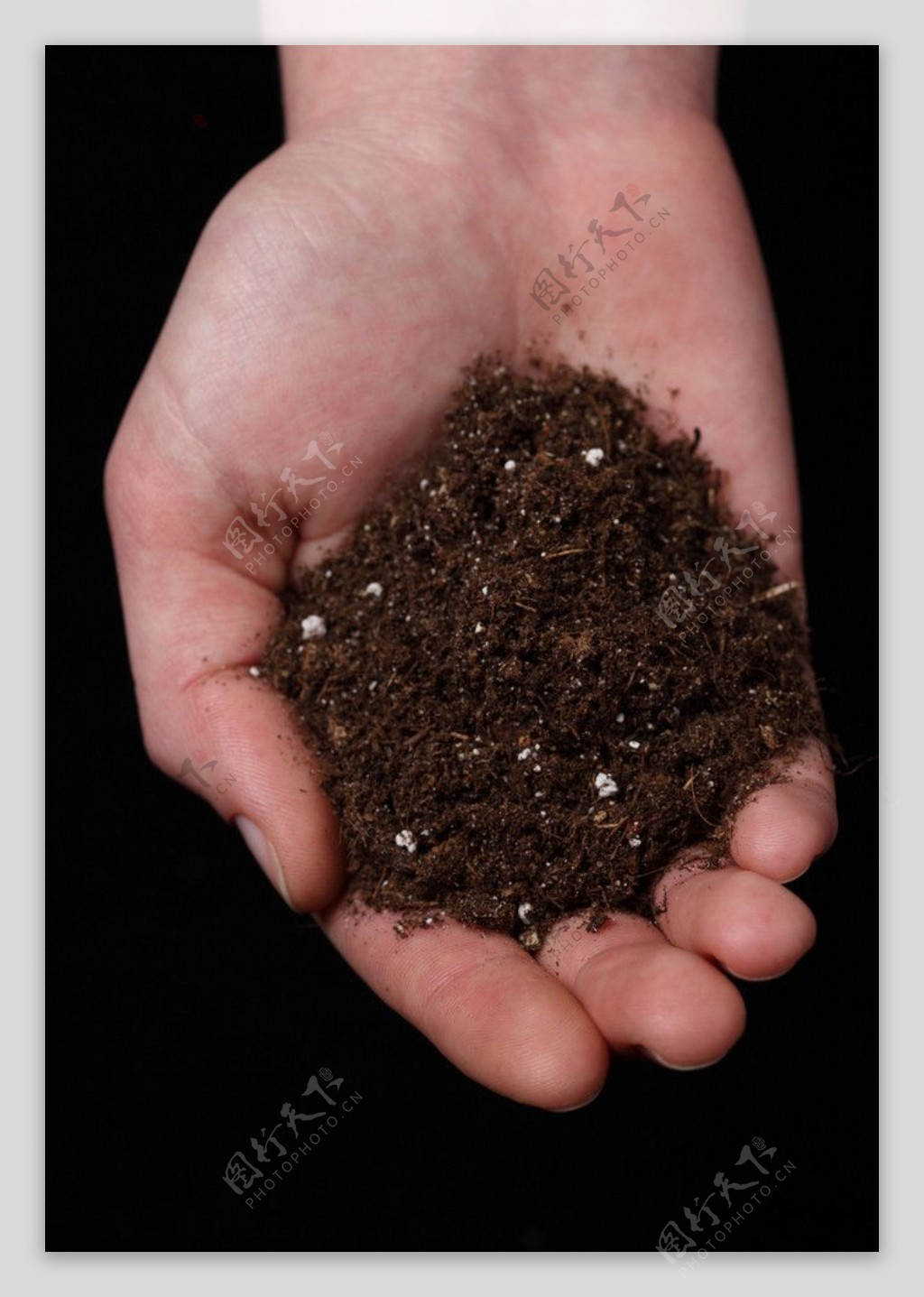 手泥土土壤图片
