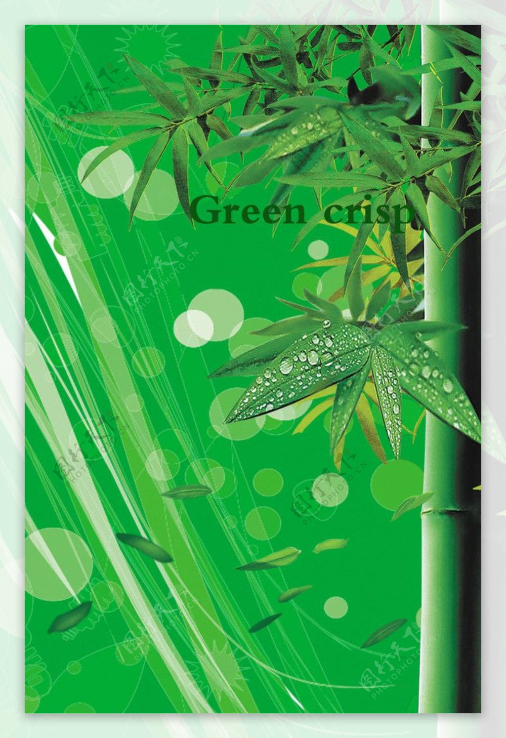 绿色翠竹背景图片